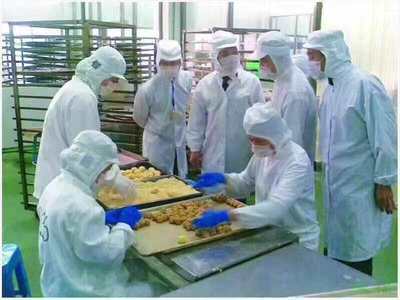 普陀区食品包装工招工