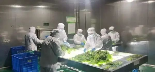 无菌包装袋微生物的检测