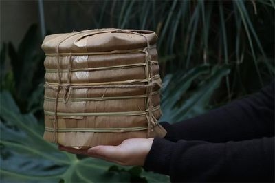 竹壳包装拆