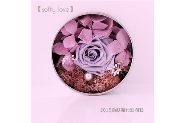 多肉玫瑰包装