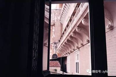 利乐包装牛奶 成分表钙