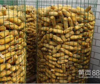 玉米网包装