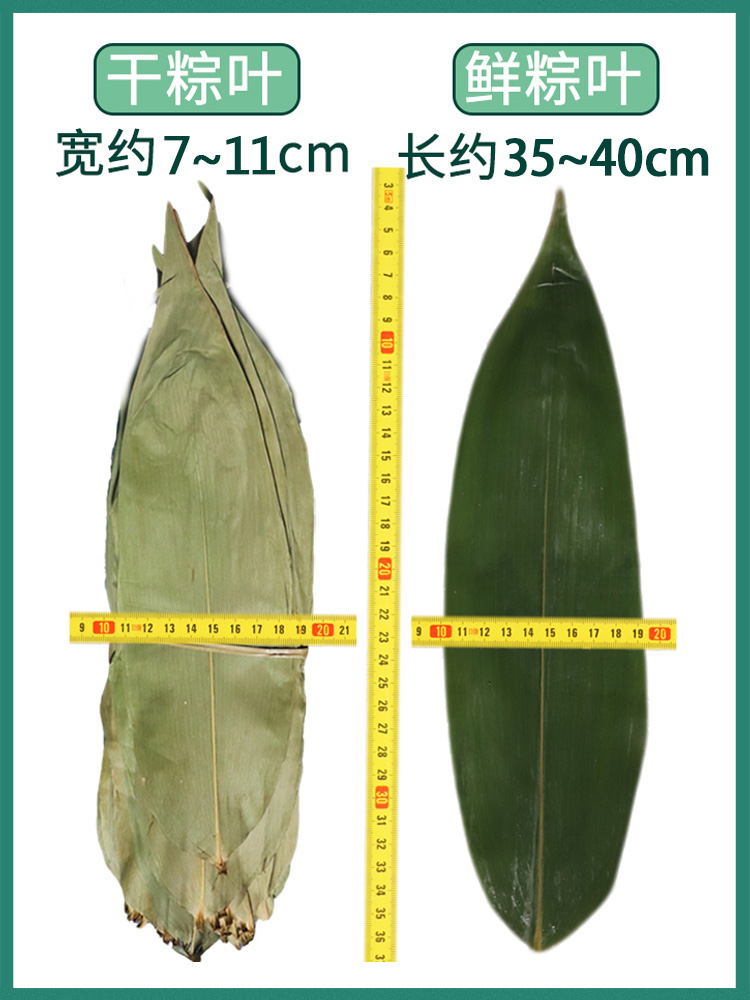 食品包装用粽叶标准