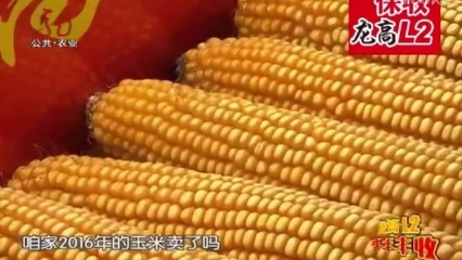 龙高l2玉米种子包装