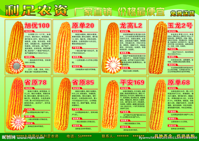 龙高l2玉米种子包装