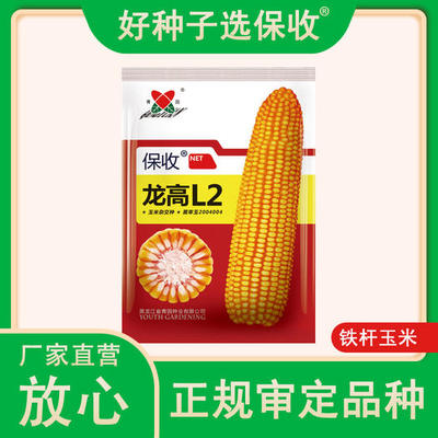 龙高l2玉米种子包装
