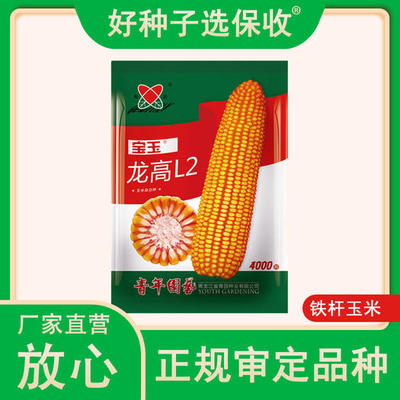 龙高l2玉米种子包装