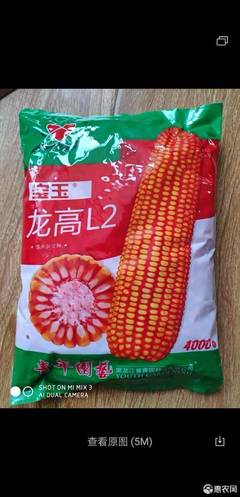 龙高l2玉米种子包装
