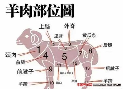 羊肉分割包装