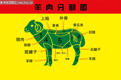 羊肉分割包装