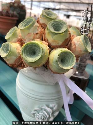 扎花束 包装纸
