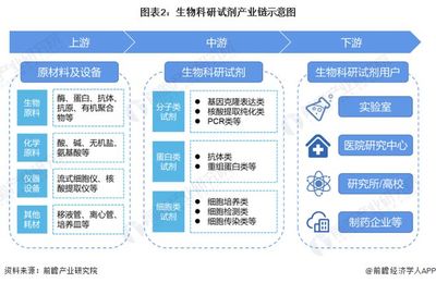 中国包装全产业链发展分析