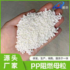 共聚 均聚pp塑料