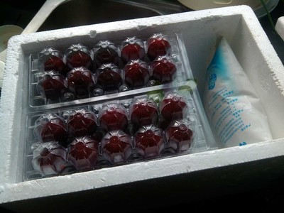 江苏水果泡沫包装箱