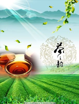 车进行包装给景区做广告