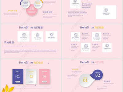 产品包装介绍ppt