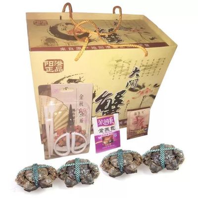东莞市 强风 包装
