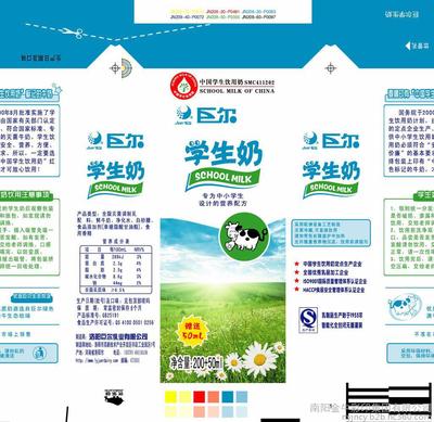 液体包装用纸