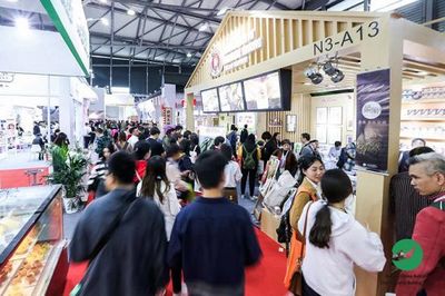 11月份上海包装 展