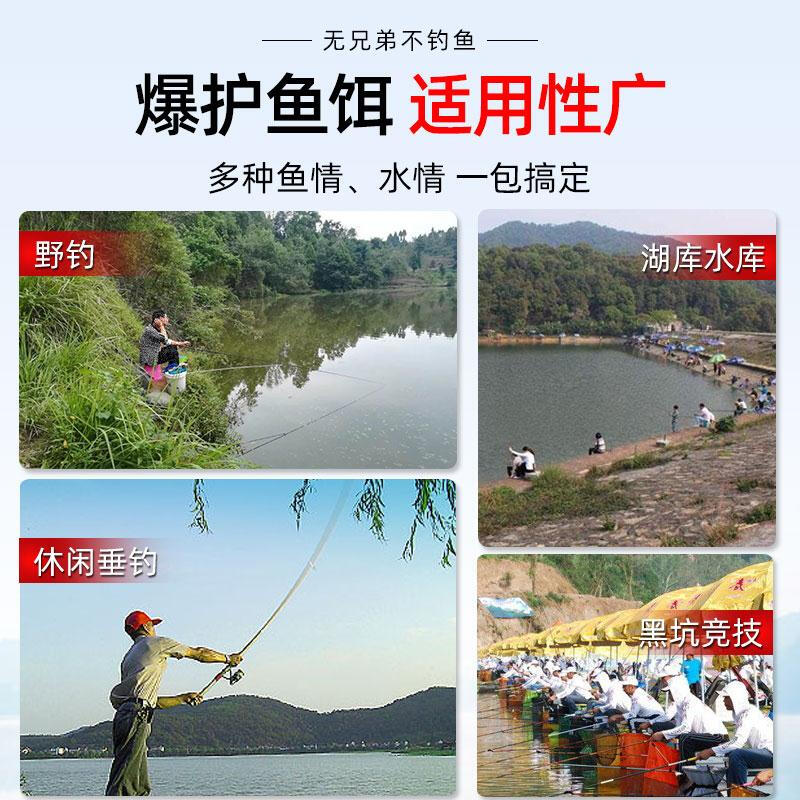 我要看董卿的高pp