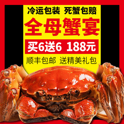 顺丰运大闸蟹包装