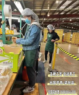 揭阳食品包装工