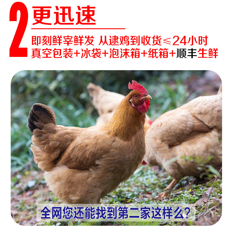 顺丰快递土鸡包装