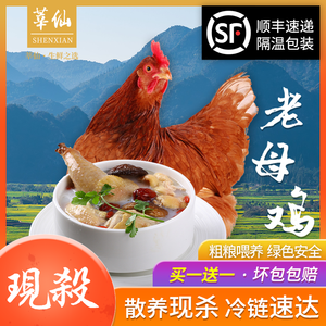 顺丰快递土鸡包装