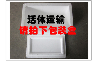 活体进口包装盒