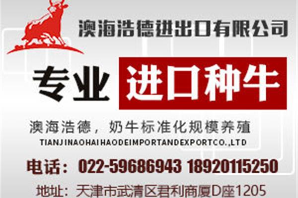 专业服务广告公司有哪些