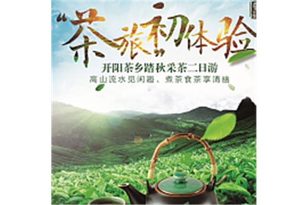 茶叶园儿童创意广告设计