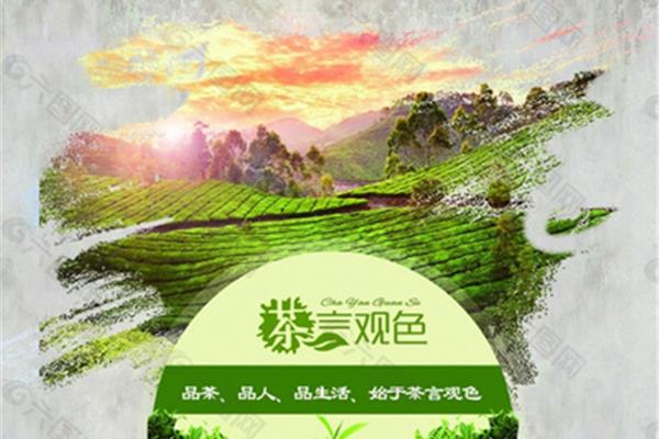 茶叶园儿童创意广告设计