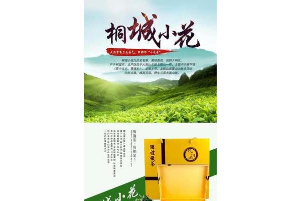 茶叶园儿童创意广告设计