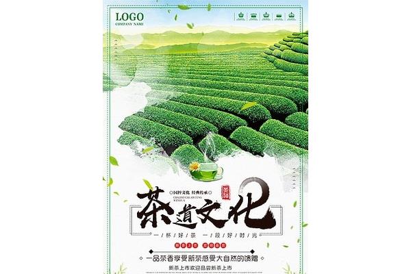 茶叶园儿童创意广告设计