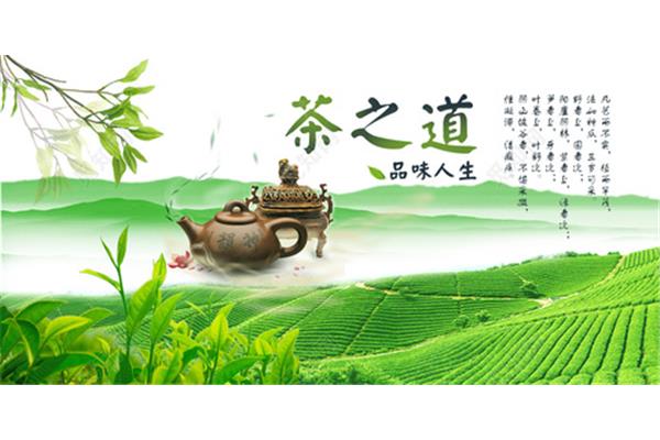 茶叶园儿童创意广告设计