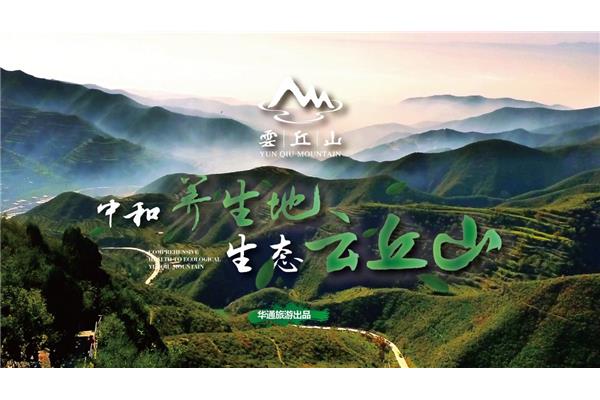 丘山广告公司